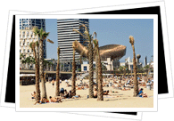 barcelona beach