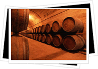 wine barrels